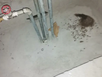 漳州卫生间测漏水价格明细